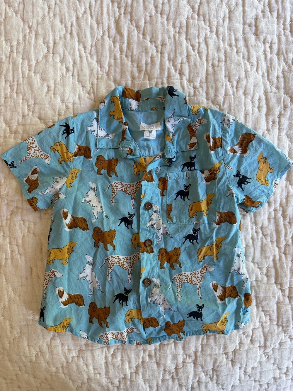 Blue Rooster Collection Light Blue Puppy Pattern Button-Down Shirt